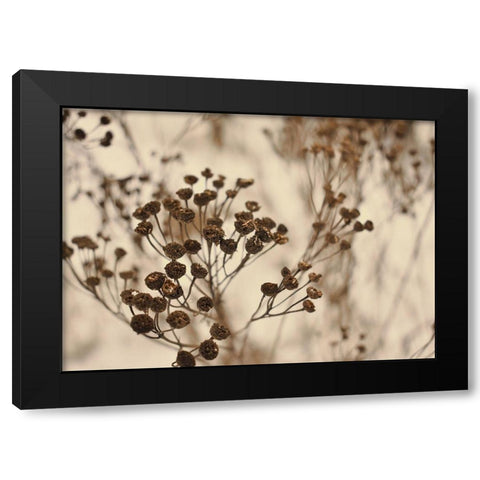 Secret 3 Black Modern Wood Framed Art Print with Double Matting by Design Fabrikken