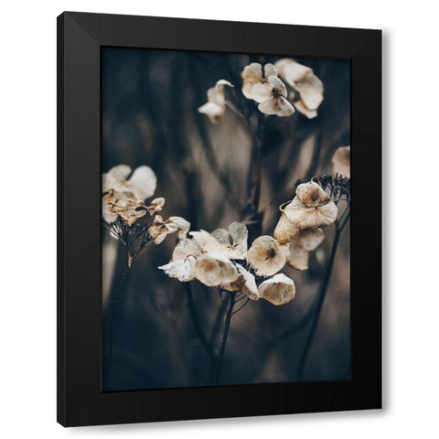 Secret 4 Black Modern Wood Framed Art Print by Design Fabrikken
