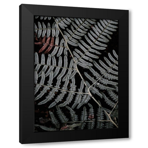 Secret 6 Black Modern Wood Framed Art Print by Design Fabrikken