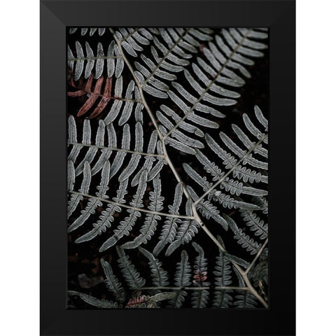 Secret 6 Black Modern Wood Framed Art Print by Design Fabrikken