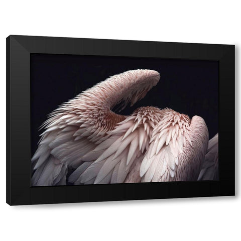 Flamboyance 2 Black Modern Wood Framed Art Print by Design Fabrikken