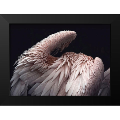 Flamboyance 2 Black Modern Wood Framed Art Print by Design Fabrikken
