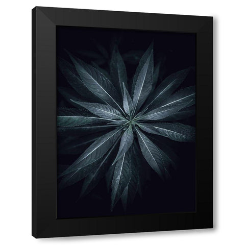 Star Flower Black Modern Wood Framed Art Print with Double Matting by Design Fabrikken