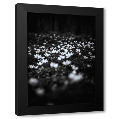 Windflowers Black Modern Wood Framed Art Print by Design Fabrikken