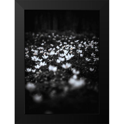 Windflowers Black Modern Wood Framed Art Print by Design Fabrikken