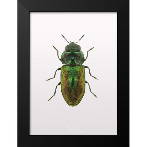 Beetle 1 Black Modern Wood Framed Art Print by Design Fabrikken