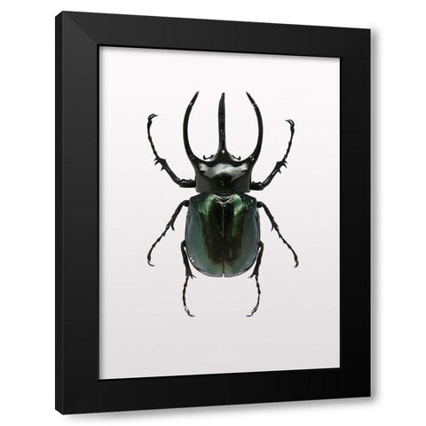 Beetle 2 Black Modern Wood Framed Art Print by Design Fabrikken