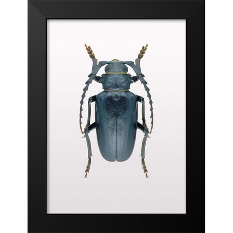 Beetle 3 Black Modern Wood Framed Art Print by Design Fabrikken