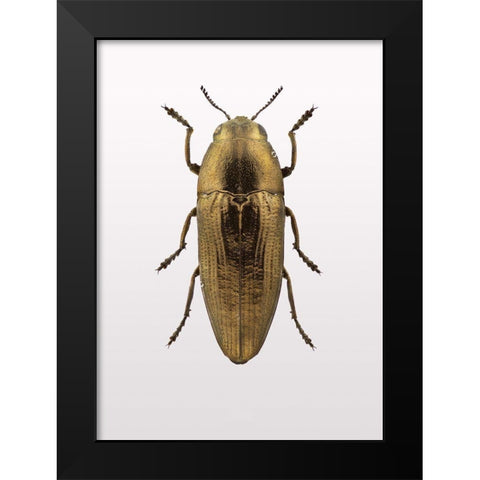 Beetle 4 Black Modern Wood Framed Art Print by Design Fabrikken