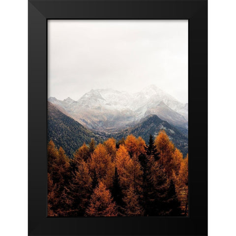 Bishop 17 Black Modern Wood Framed Art Print by Design Fabrikken