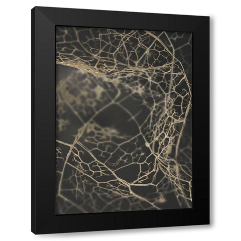 Leaf Skeleton Dark Black Modern Wood Framed Art Print by Design Fabrikken