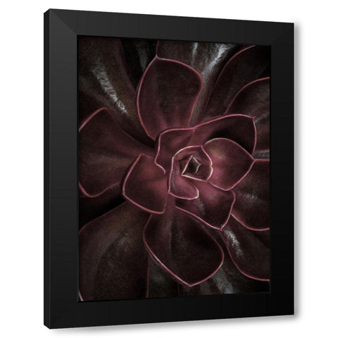 Secret 16 Black Modern Wood Framed Art Print with Double Matting by Design Fabrikken