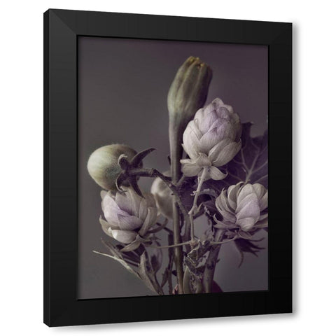 Secret 13 Black Modern Wood Framed Art Print with Double Matting by Design Fabrikken