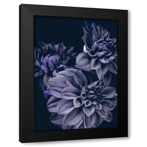 Secret 15 Black Modern Wood Framed Art Print by Design Fabrikken