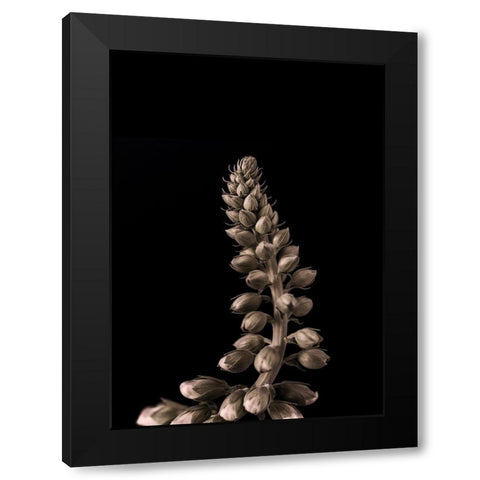 Upwards 2 Black Modern Wood Framed Art Print with Double Matting by Design Fabrikken