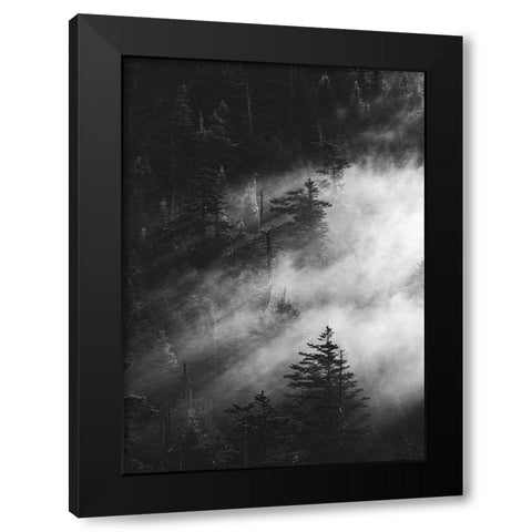 Misty Pine Woods Black Modern Wood Framed Art Print with Double Matting by Design Fabrikken