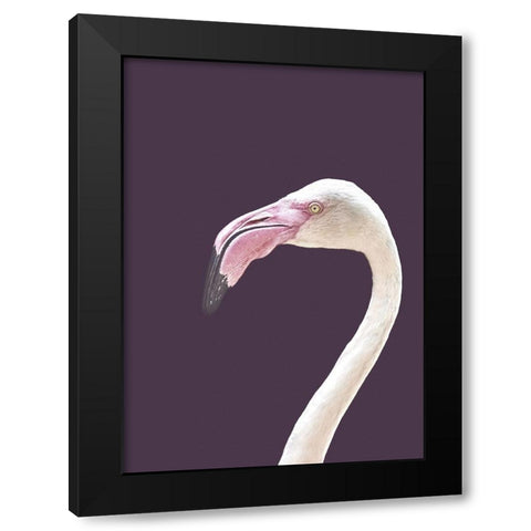 The Flamingo Black Modern Wood Framed Art Print with Double Matting by Design Fabrikken