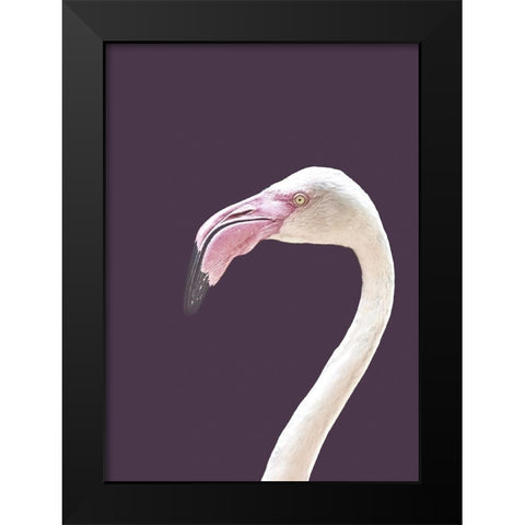 The Flamingo Black Modern Wood Framed Art Print by Design Fabrikken