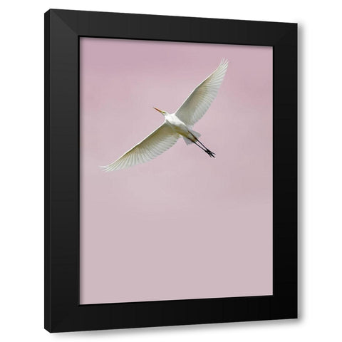 In the Sky 2 Black Modern Wood Framed Art Print by Design Fabrikken