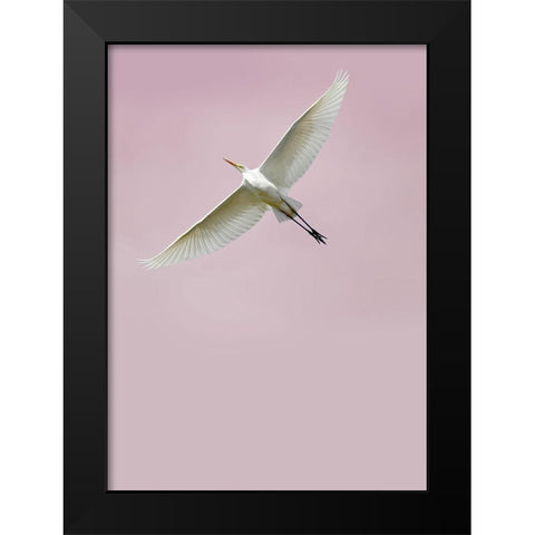 In the Sky 2 Black Modern Wood Framed Art Print by Design Fabrikken