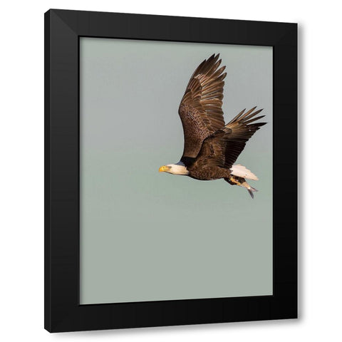 In the Sky 3 Black Modern Wood Framed Art Print with Double Matting by Design Fabrikken