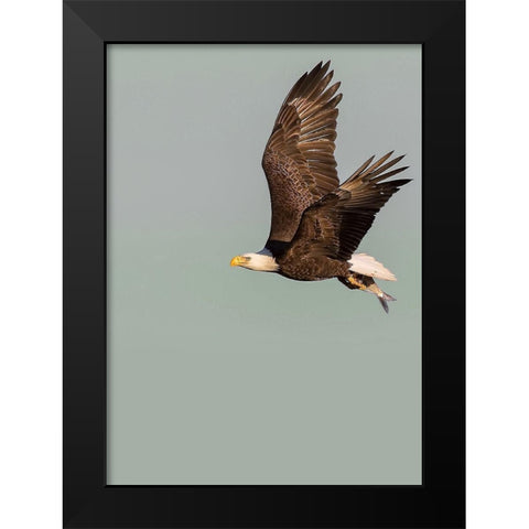 In the Sky 3 Black Modern Wood Framed Art Print by Design Fabrikken