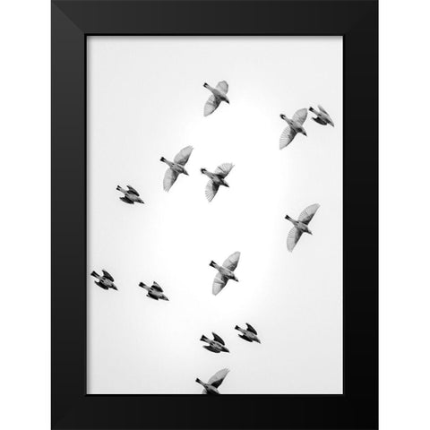 In the Sky 1 Black Modern Wood Framed Art Print by Design Fabrikken