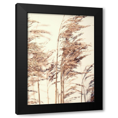 Reed 1 Black Modern Wood Framed Art Print with Double Matting by Design Fabrikken