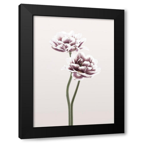 Cosmos 1 Black Modern Wood Framed Art Print by Design Fabrikken