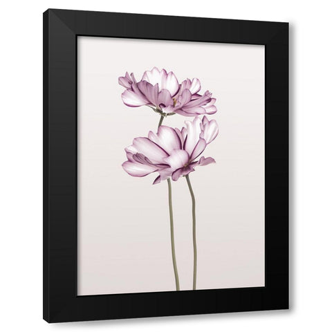 Cosmos 2 Black Modern Wood Framed Art Print by Design Fabrikken