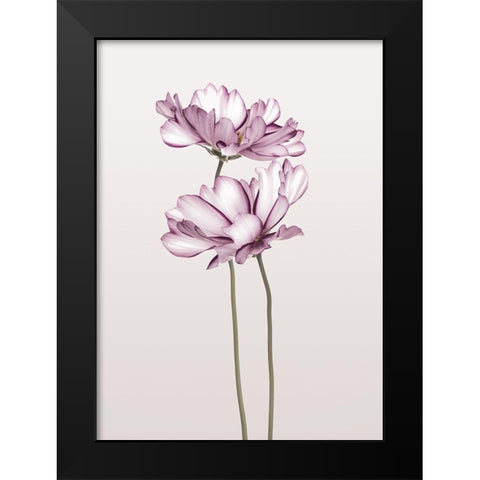 Cosmos 2 Black Modern Wood Framed Art Print by Design Fabrikken