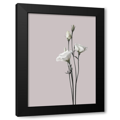 Flower 2 Black Modern Wood Framed Art Print by Design Fabrikken