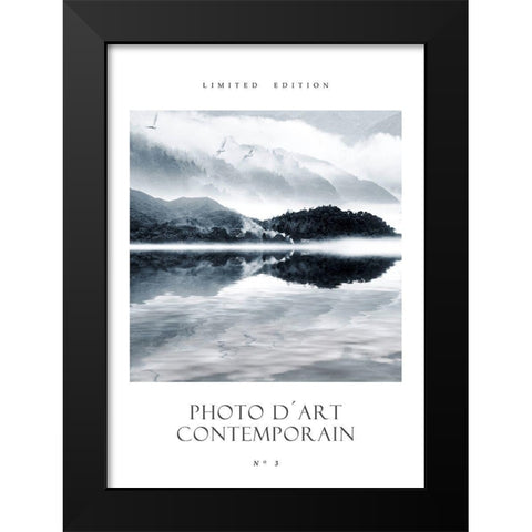 Photo DÂ´Art No 3 Black Modern Wood Framed Art Print by Design Fabrikken