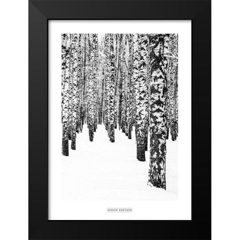 White Edition 2 Black Modern Wood Framed Art Print by Design Fabrikken