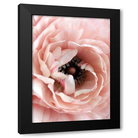Flower Black Modern Wood Framed Art Print by Design Fabrikken