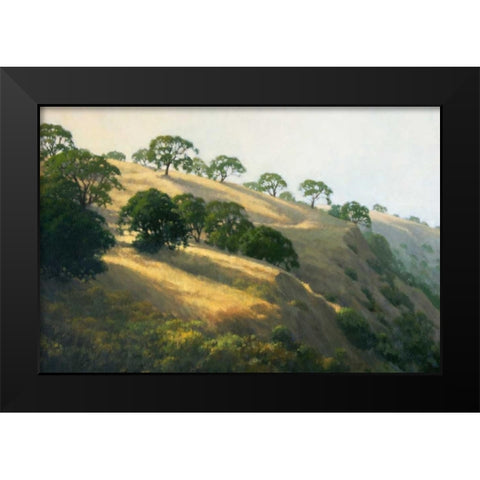 Afternoon Shadows Black Modern Wood Framed Art Print by Oleary, Kathy