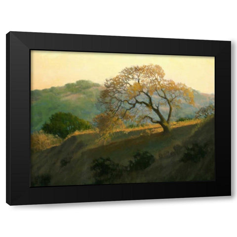 Buckeye Glow Black Modern Wood Framed Art Print with Double Matting by OLeary, Kathy