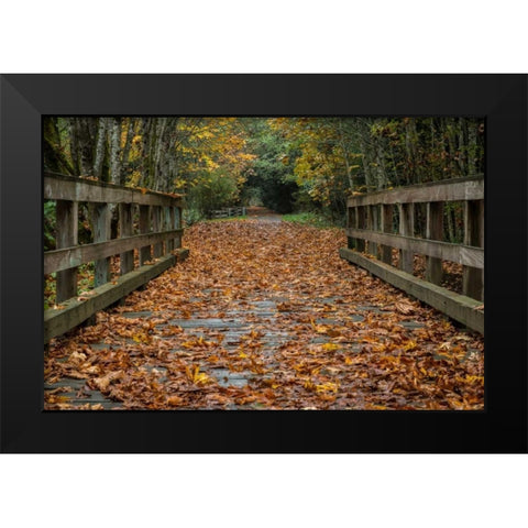 Fall on the Goose (Victoria) Black Modern Wood Framed Art Print by Oldford, Tim