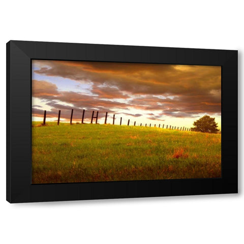 Fenceline, South Dakota Black Modern Wood Framed Art Print with Double Matting by ODell, Dale