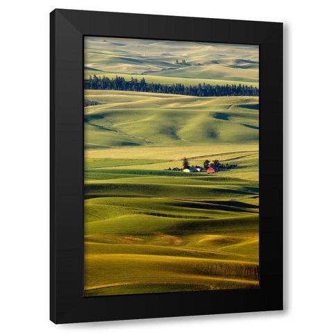Palouse #27 Black Modern Wood Framed Art Print by ODell, Dale