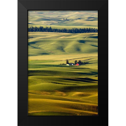 Palouse #27 Black Modern Wood Framed Art Print by ODell, Dale