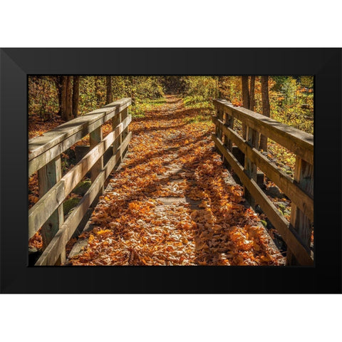 Fall On The Footbridge Black Modern Wood Framed Art Print by Oldford, Tim
