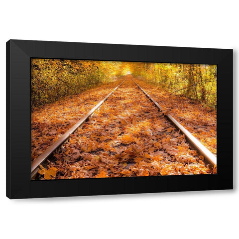 Train Tracks in The Fall Black Modern Wood Framed Art Print with Double Matting by Oldford, Tim