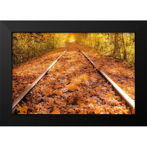 Train Tracks in The Fall Black Modern Wood Framed Art Print by Oldford, Tim