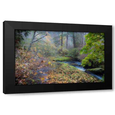 Snow in Fall Black Modern Wood Framed Art Print with Double Matting by Oldford, Tim