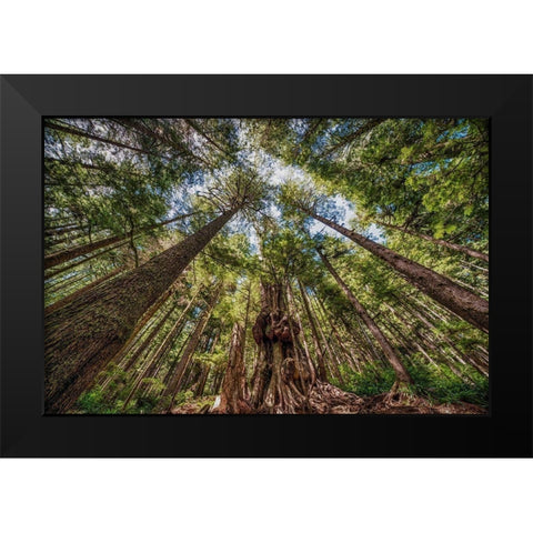 Avatar Grove Canopy Black Modern Wood Framed Art Print by Oldford, Tim