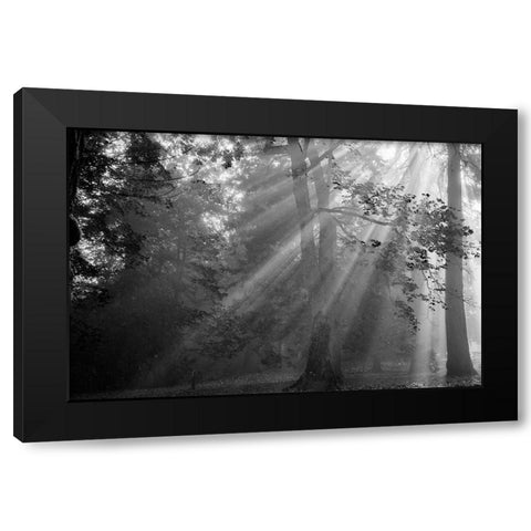 In a Haze Black Modern Wood Framed Art Print by Oldford, Tim