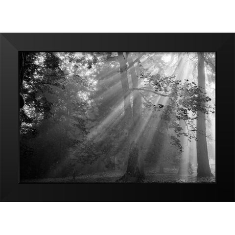 In a Haze Black Modern Wood Framed Art Print by Oldford, Tim