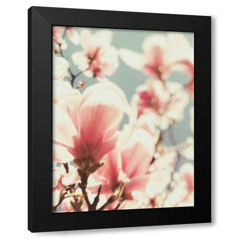 Paris Petals 1 Black Modern Wood Framed Art Print with Double Matting by Okula, Carina