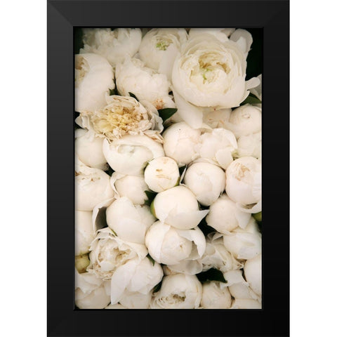 Peony 1 Black Modern Wood Framed Art Print by Okula, Carina